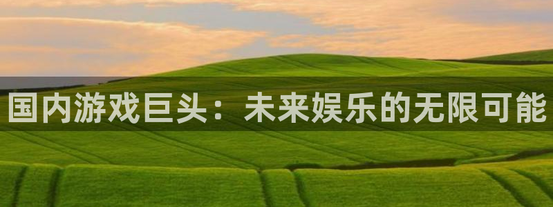 完美电竞官网子上市：国内游戏巨头：未来娱乐的无限可能