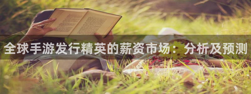 苏州完美电竞官网网络科技有限公司：全球手游发行精英的薪资市场：分析及预测