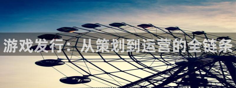 完美电竞注册地址在哪里：游戏发行：从策划到运营的全链条