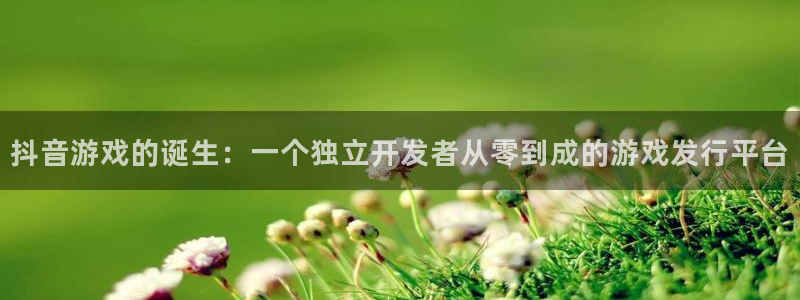 完美电竞官网lvnces是什么档次