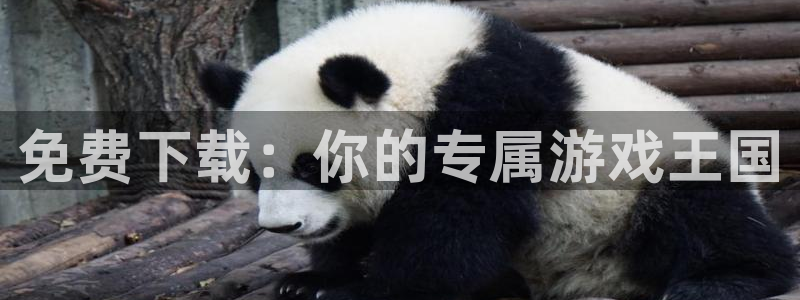 完美电竞官网防水是几线品牌：免费下载：你的专属游戏王国