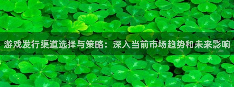 lvnces完美电竞官网衣服：游戏发行渠道选择与策略：深入当前市场趋势和未来影响