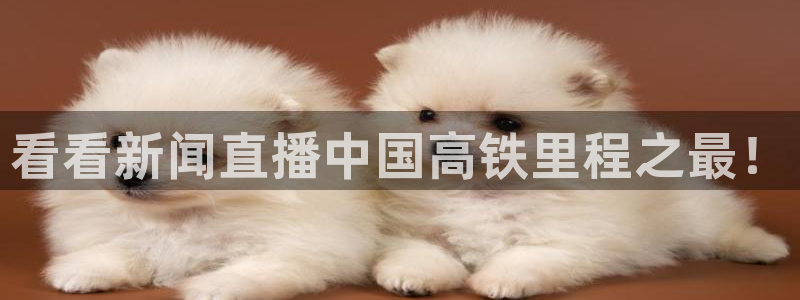 篮球直播吧nba：看看新闻直播中国高铁里程之最！
