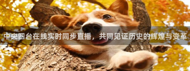 cba直播吧在线观看免费：中央四台在线实时同步直播，共同见证历史的辉煌与变革