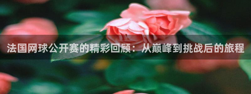 乐球体育直播吧：法国网球公开赛的精彩回顾：从巅峰到挑战后的旅程
