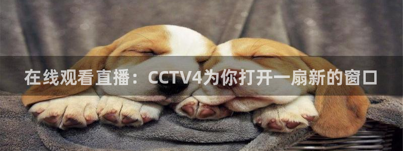 直播吧手机版nba直播吧：在线观看直播：CCTV4为你打开一扇新的窗口