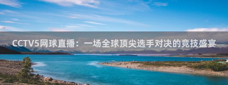 245体育直播吧：CCTV5网球直播：一场全球顶尖选手对决的竞技盛宴