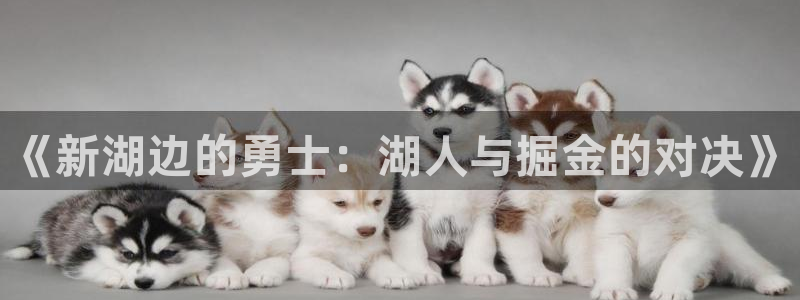 360直播吧_足球直播_jrs直播nba_nba：《新湖边的勇士：湖人与掘金的对决》
