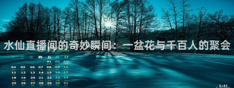 nba直播吧山猫体育：水仙直播间的奇妙瞬间：一盆花与千百人的聚会