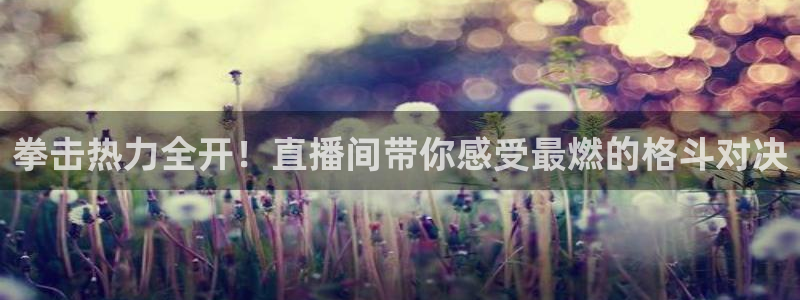 123直播吧：拳击热力全开！直播间带你感受最燃的格斗对决
